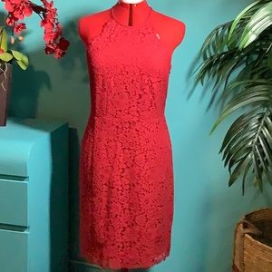 LOFT NWT Lace Dark Red Dress Size 8